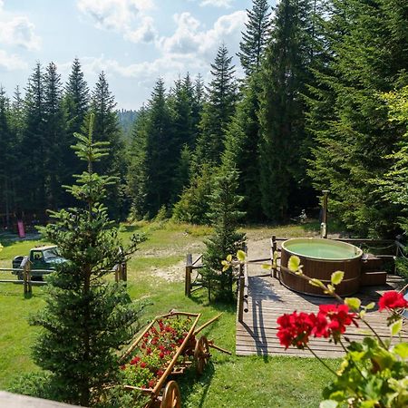Lesna Bacowka Villa Nowy Targ Bagian luar foto