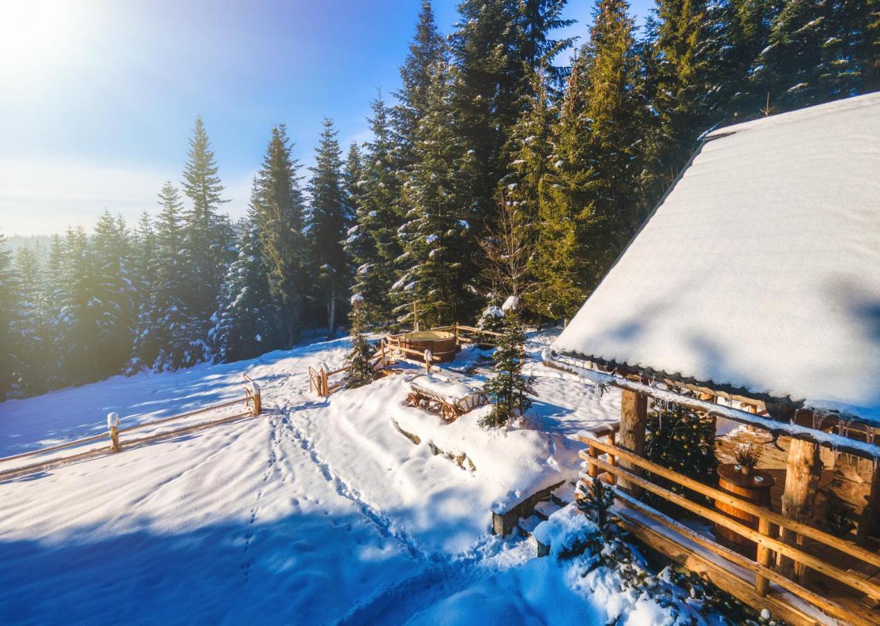 Lesna Bacowka Villa Nowy Targ Bagian luar foto