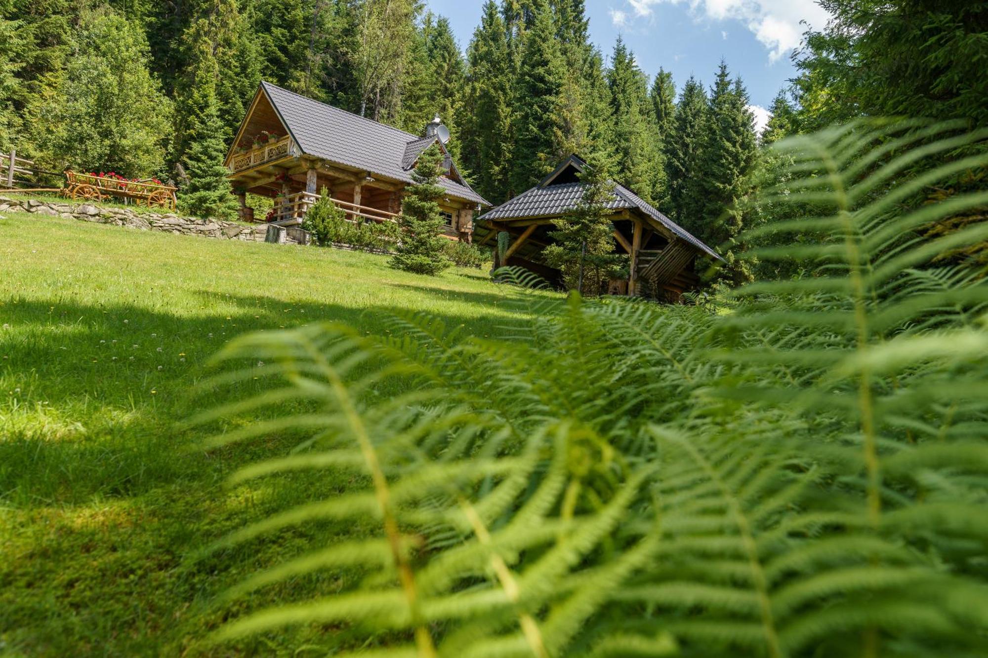 Lesna Bacowka Villa Nowy Targ Bagian luar foto
