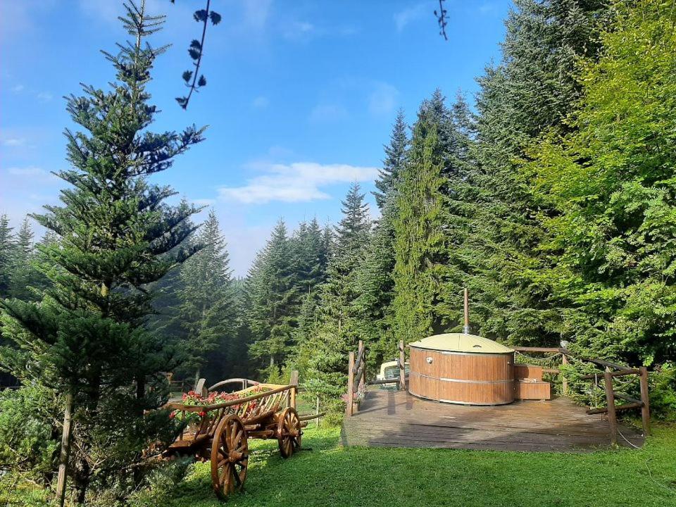 Lesna Bacowka Villa Nowy Targ Bagian luar foto