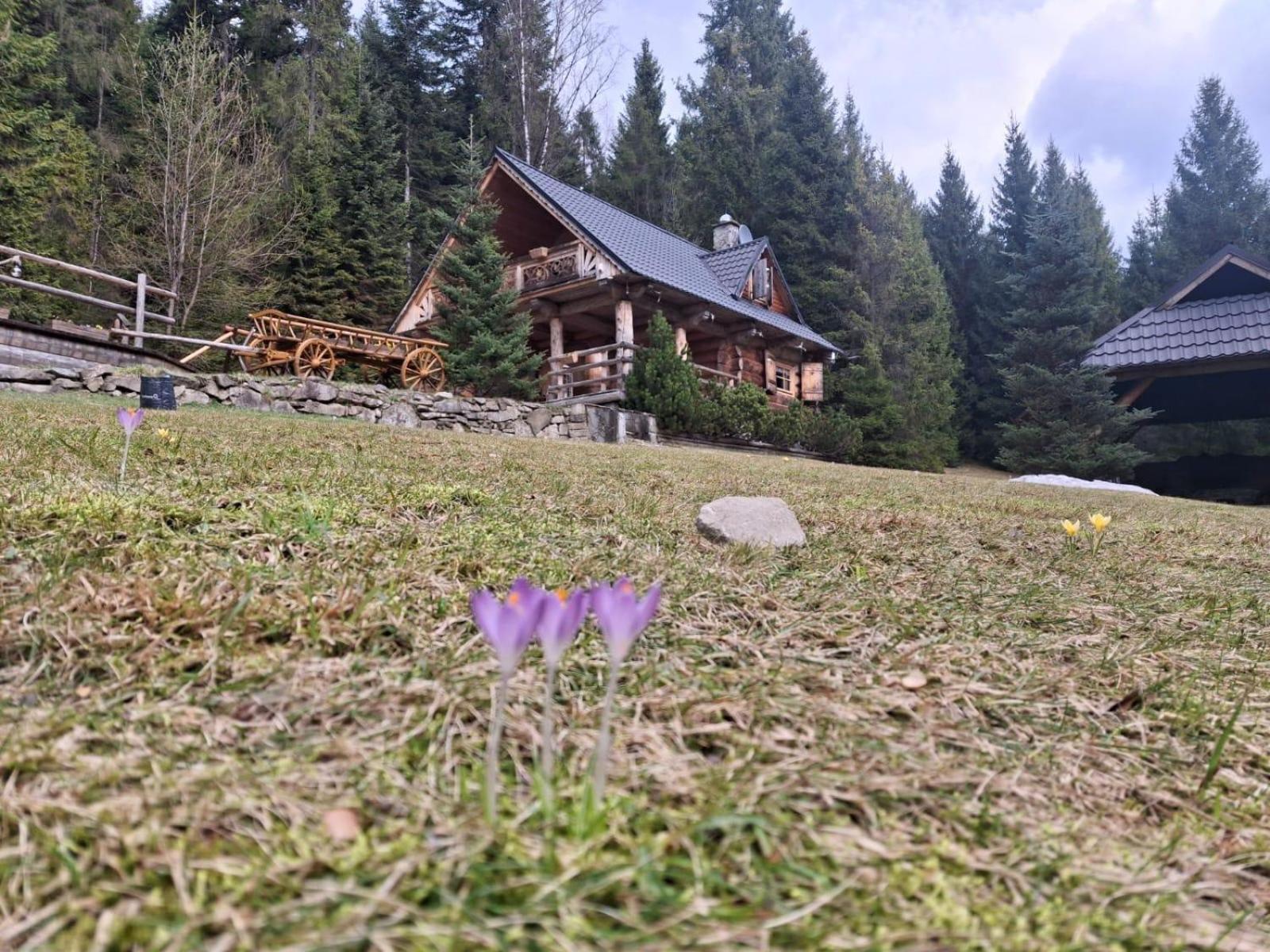 Lesna Bacowka Villa Nowy Targ Bagian luar foto